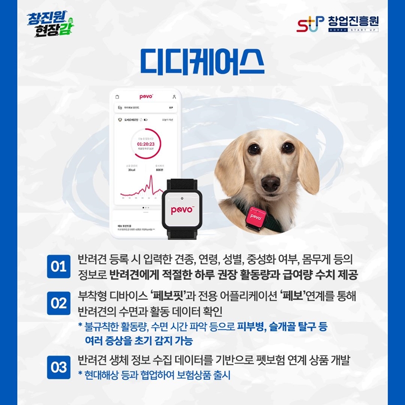 디디케어스. 01 반려견 등록 시 입력한 견종,연령, 성별, 중성화 여부, 몸무게 등의 정보로 반려견에게 적절한 하루 권장 활동량과 급여량 수치 제공. 02 부착형 디바이스 '페보핏'과 전용 어플리케이션 '페보'연계를 통해 반려견의 수면과 활동 데이터 확인 *불규칙한 활동량, 수면 시간 파악 등으로 피부병, 슬개골 탈구 등 여러 증상을 초기 감지 가능. 03 반려견 생체 정보 수집 데이터를 기반으로 펫보험 연계 상품 개발 *현대해상 등과 협업하여 보험상품 출시